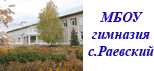 МБОУ гимназия с.Раевский